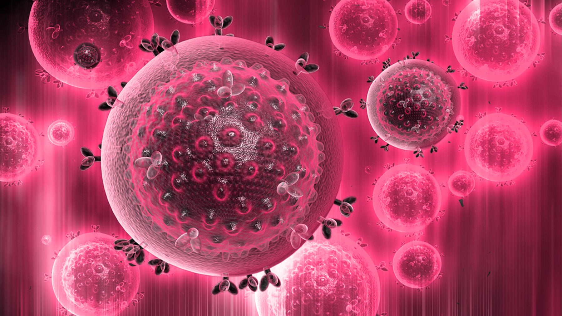 El virus del sida visto desde el microscopio.