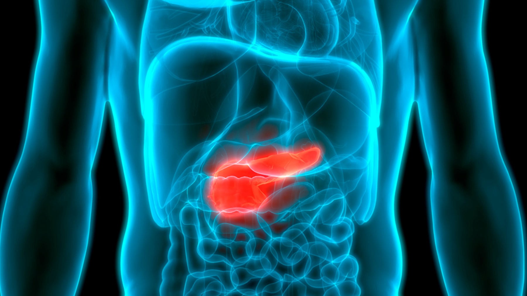 El páncreas está situado en la parte superior del abdomen.
